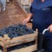 Відомий письменник підтримав бійців, які лікуються у Тернополі
