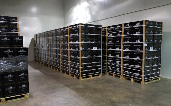 Фермери з Тернопільщини розпочали сезон експорту яблук