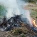 Паліїв трави виявили під час рейду в Тернопільській громаді