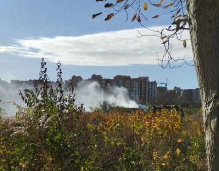 Хто регулярно підпалює дачі на Тарнавського у Тернополі?