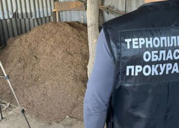 На Тернопільщині колишній поліціянт організував підпільне виробництво тютюну
