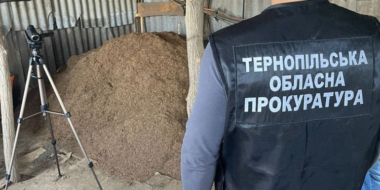 На Тернопільщині колишній поліціянт організував підпільне виробництво тютюну