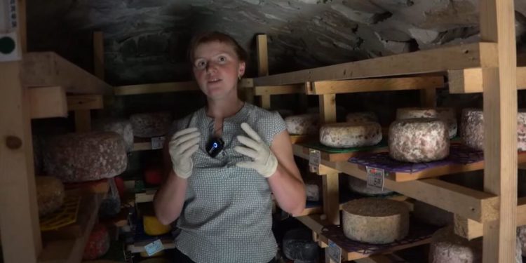 До “Дубового кута” їдуть за вишуканим сиром