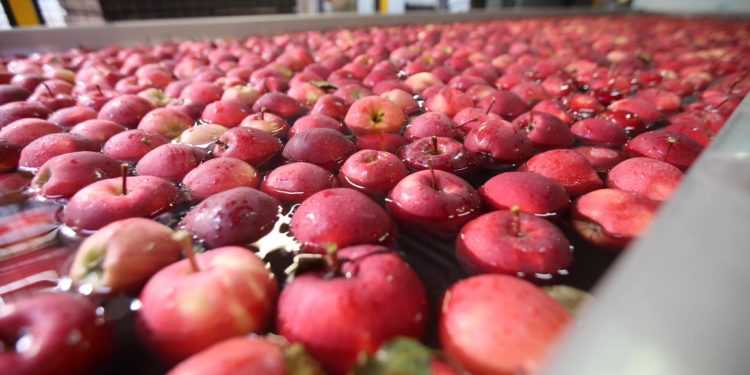 Італійські партнери відвідали підприємства Петра Гадза на Бучаччині