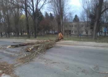 Нічний буревій на Тернопільщині: 70 населених пунктів без електроенергії