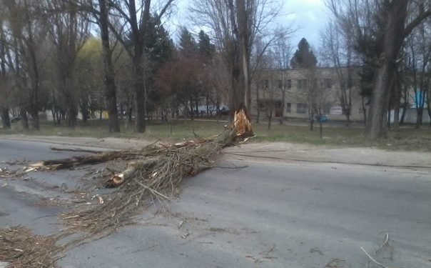 Нічний буревій на Тернопільщині: 70 населених пунктів без електроенергії
