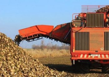 Підсумки жнив на Тернопільщині у цифрах