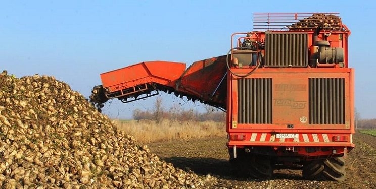 Підсумки жнив на Тернопільщині у цифрах