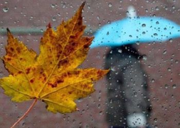 Дощі та заморозки прогнозують на Тернопільщині