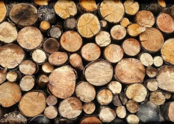 Українці отримають готівку на придбання дров