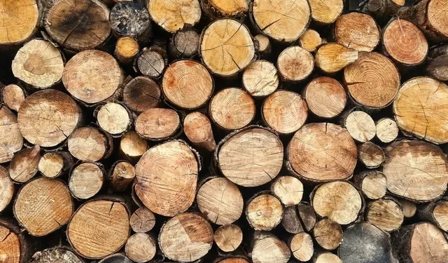 Українці отримають готівку на придбання дров