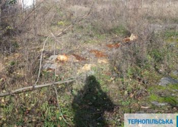 Неналежне зберігання пестицидів та забруднення землі розслідують на Тернопільщині