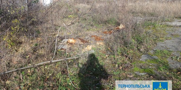 Неналежне зберігання пестицидів та забруднення землі розслідують на Тернопільщині