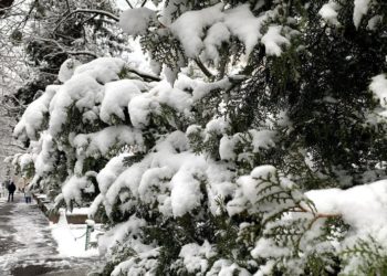 Сиру та холодну погоду прогнозують на вихідні у Тернополі