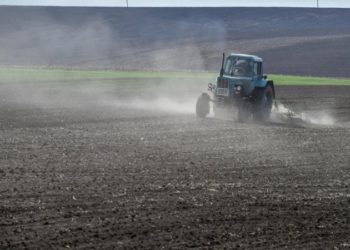 Аграрія з Тернопільщини взяли під варту через справу депутата