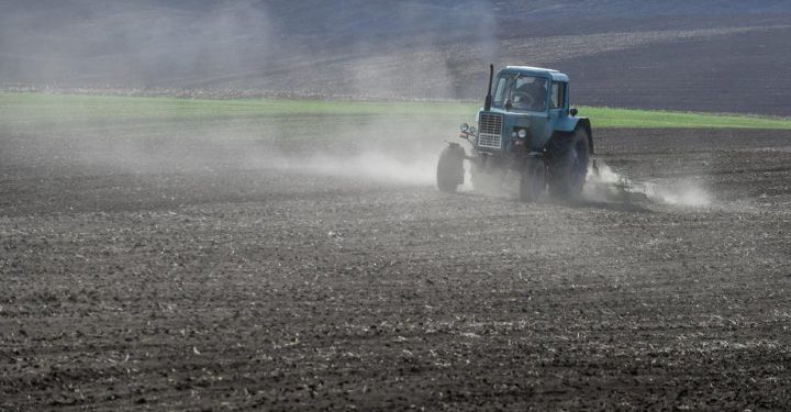 Аграрія з Тернопільщини взяли під варту через справу депутата
