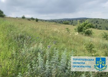 На Тернопільщині вимагають повернути у власність держави землю