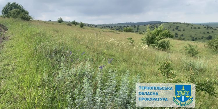 На Тернопільщині вимагають повернути у власність держави землю