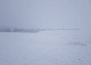 Біля Тернополя застрелили чоловіка, сплутавши його з твариною