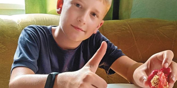 10-річний школяр з Вінниччини продає насіння і допомагає ЗСУ