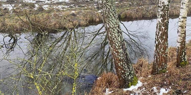 Нещасний випадок трапився на Тернопільщині: людина загинула