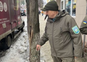 У містечку на Тернопільщині наводять лад зі старими деревами