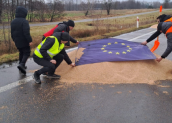 Польські протестувальники топчуть українське зерно