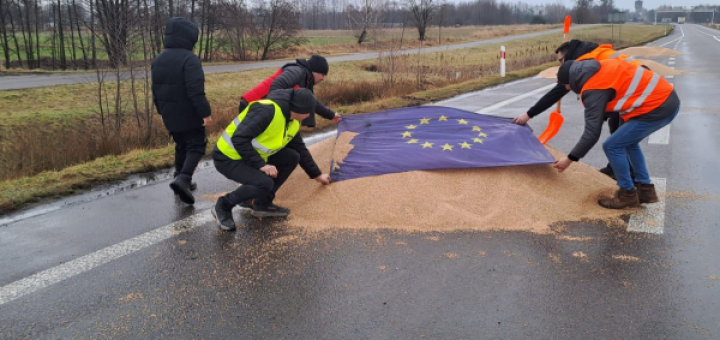 Польські протестувальники топчуть українське зерно