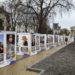 Алея пам’яті у Тернополі до роковин великої війни