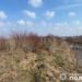 Тіло безвісти зниклого чоловіка знайшли на Тернопільщині