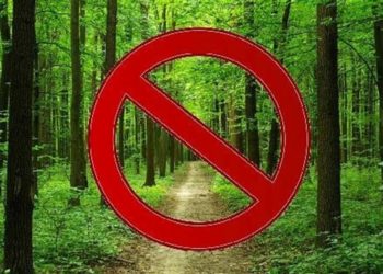 На Тернопільщині заборонили відвідування лісів, проте не завжди