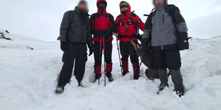 Туристи з Тернопільщини днями заблукали у Карпатах