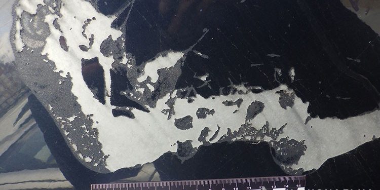 Чоловік із Тернополя обливав кислотою чужі авто (відео)