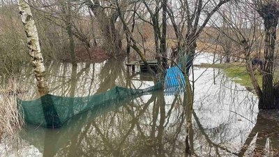 На Тернопільщині річка підтоплює подвір’я та городи