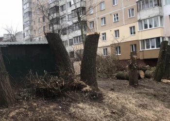 У Тернополі голова ОСББ пошкодив дерева