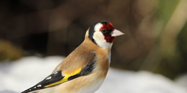 На війні загинув Іван Грицко з Тернополя
