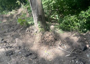 Будівництво дороги в Петрикові. Фото Медіа-Центр Тернопіль