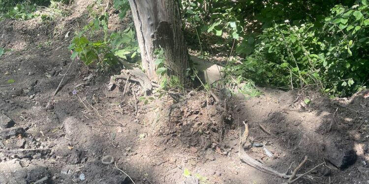 Будівництво дороги в Петрикові. Фото Медіа-Центр Тернопіль