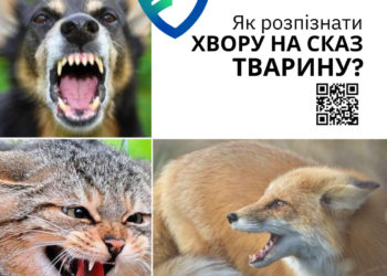 Колаж. Тернопільський обласний центр контролю та профілактики хвороб