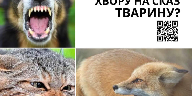 Колаж. Тернопільський обласний центр контролю та профілактики хвороб