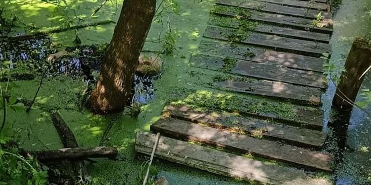 Місце, де знайшли тіло