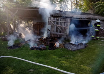 Пожежі. Фото ДСНС