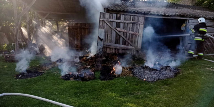 Пожежі. Фото ДСНС