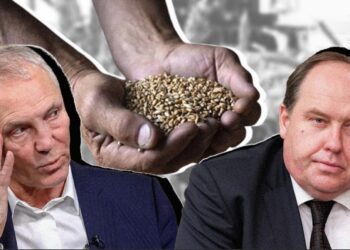 Скільки врожаю на окупованих територіях