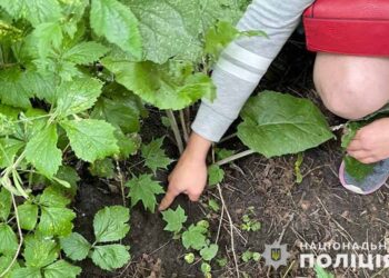 Фото Нацполіції