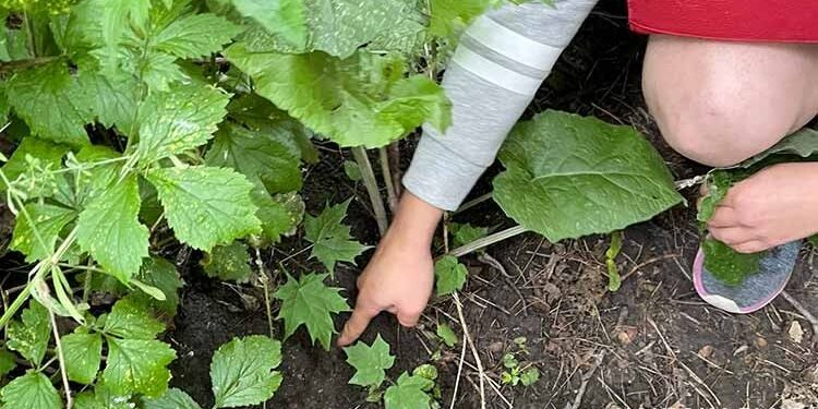 Фото Нацполіції