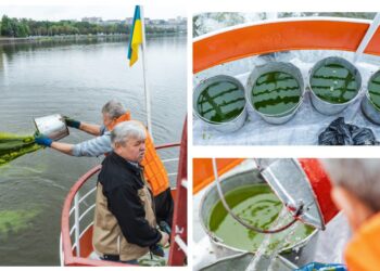 Фотоколаж Тернопільської міської ради