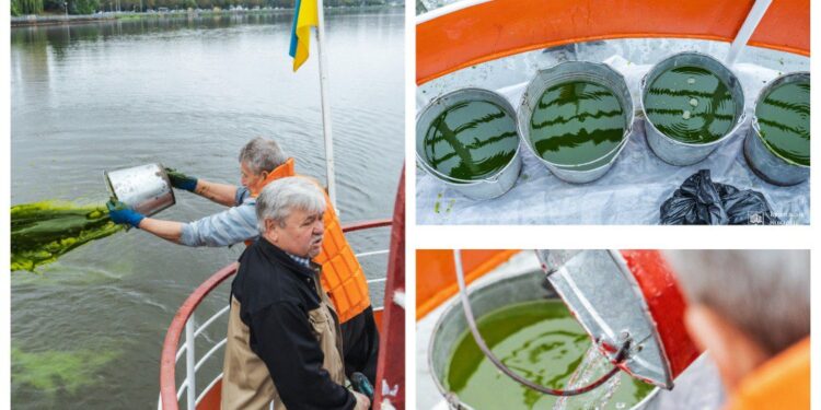 Фотоколаж Тернопільської міської ради