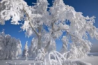 Холод. Ілюстративне зображення