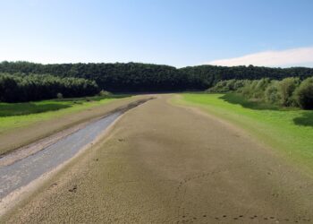 Осушене дно Дністровського каньйону. Фото НПП "Дністровський каньйон"
